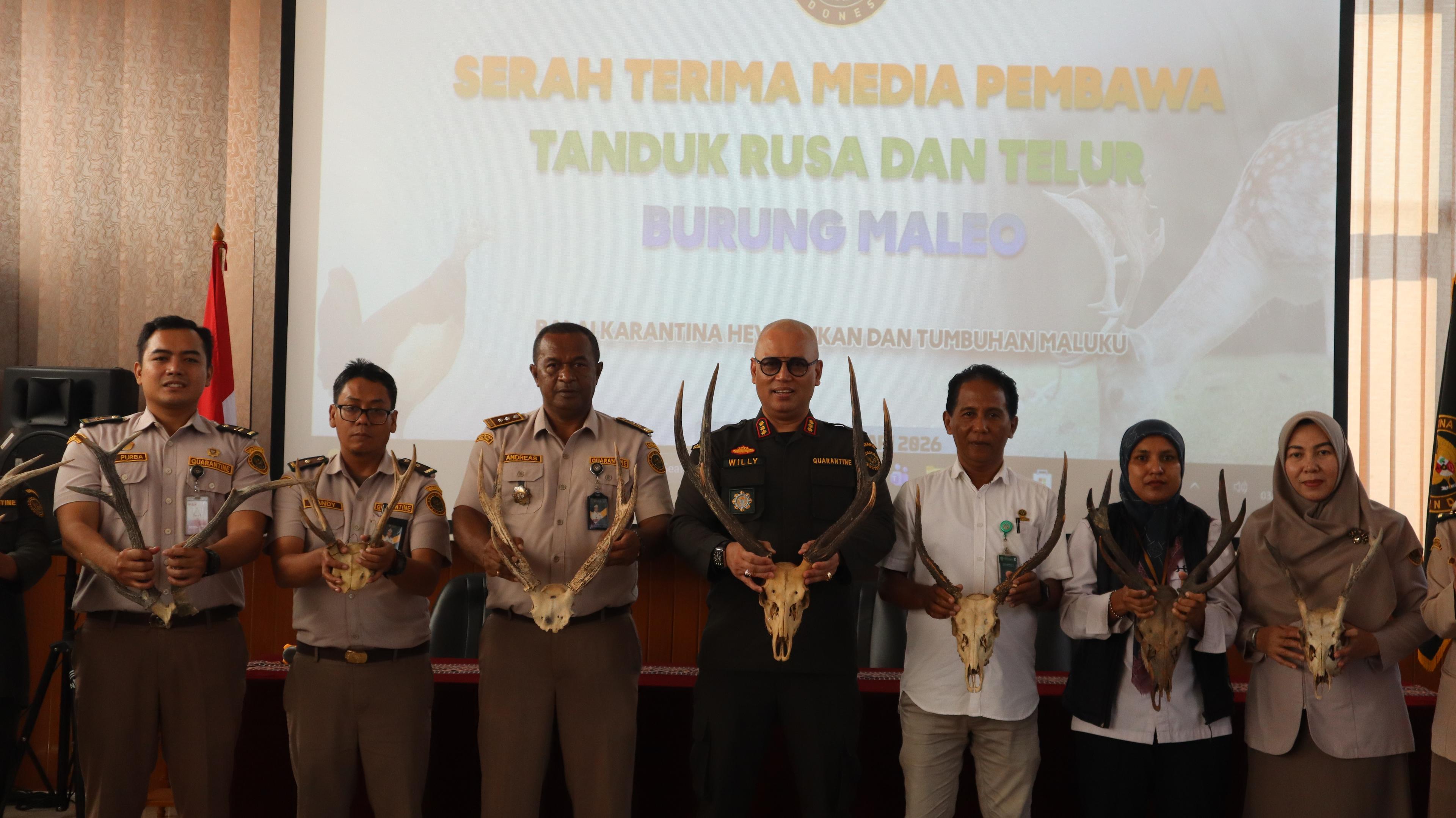 Karantina Maluku Tegaskan Komitmen Lindungi Satwa Dilindungi