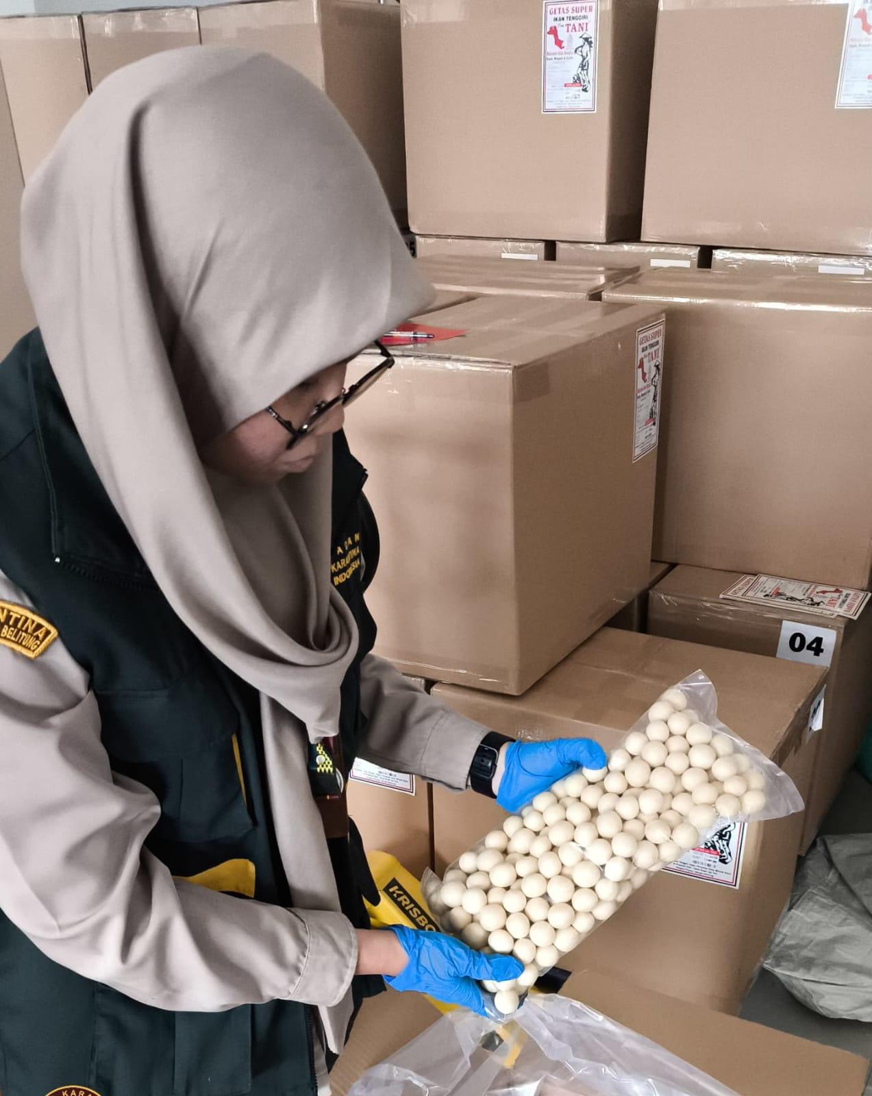 Produk Lokal Berdaya Saing Global, 1 Ton Getas Bangka Belitung Tembus Singapura