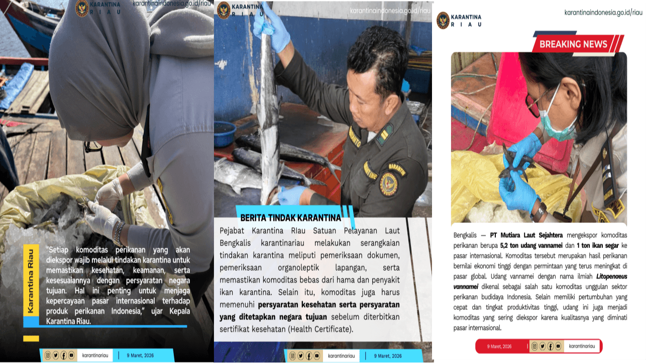 Kegiatan Operasional Rutin di UPT Riau - Berita Utama