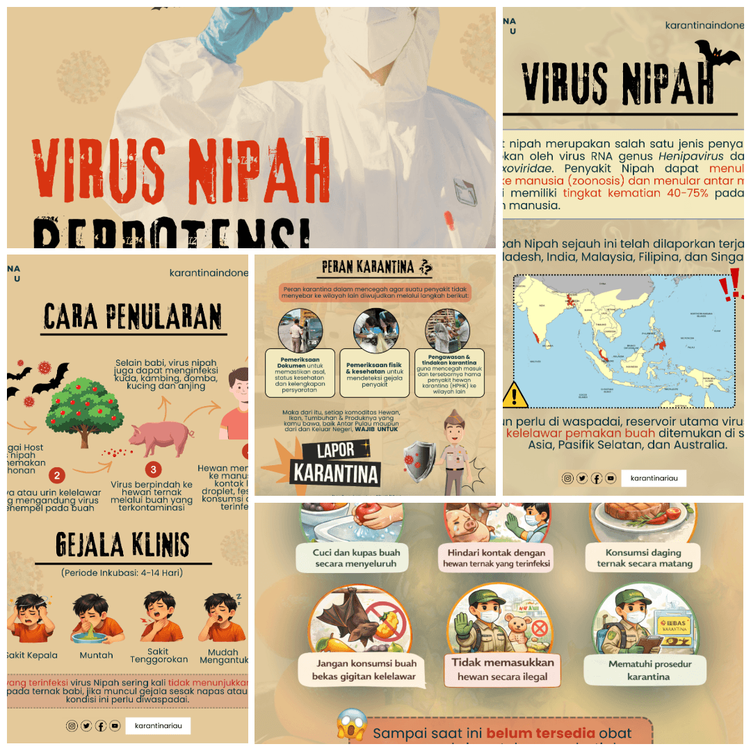 VIRUS NIPAH BERPOTENSI PANDEMI