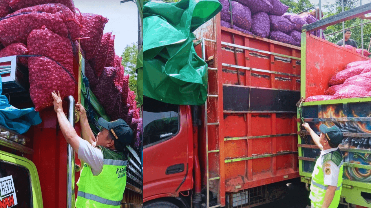 Karantina Sulawesi Selatan Kawal Pengiriman Ratusan Ton Komoditas Pertanian ke Batulicin