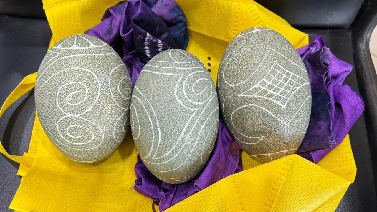   Karantina Papua Selatan Gagalkan Penyelundupan Telur Kasuari