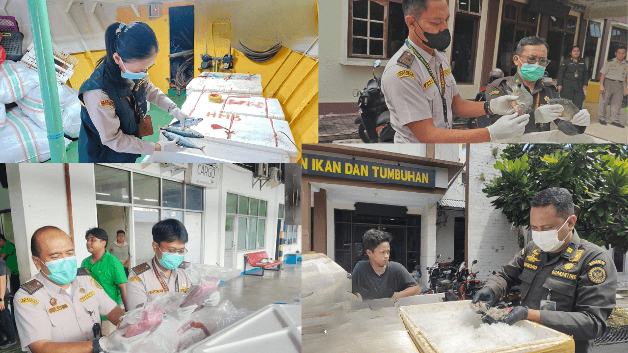 KAWAL KEAMANAN PANGAN RAMADHAN KARANTINA PASTIKAN PENGIRIMAN PRODUK PERIKANAN ANTAR DAERAH SESUAI PROSEDUR