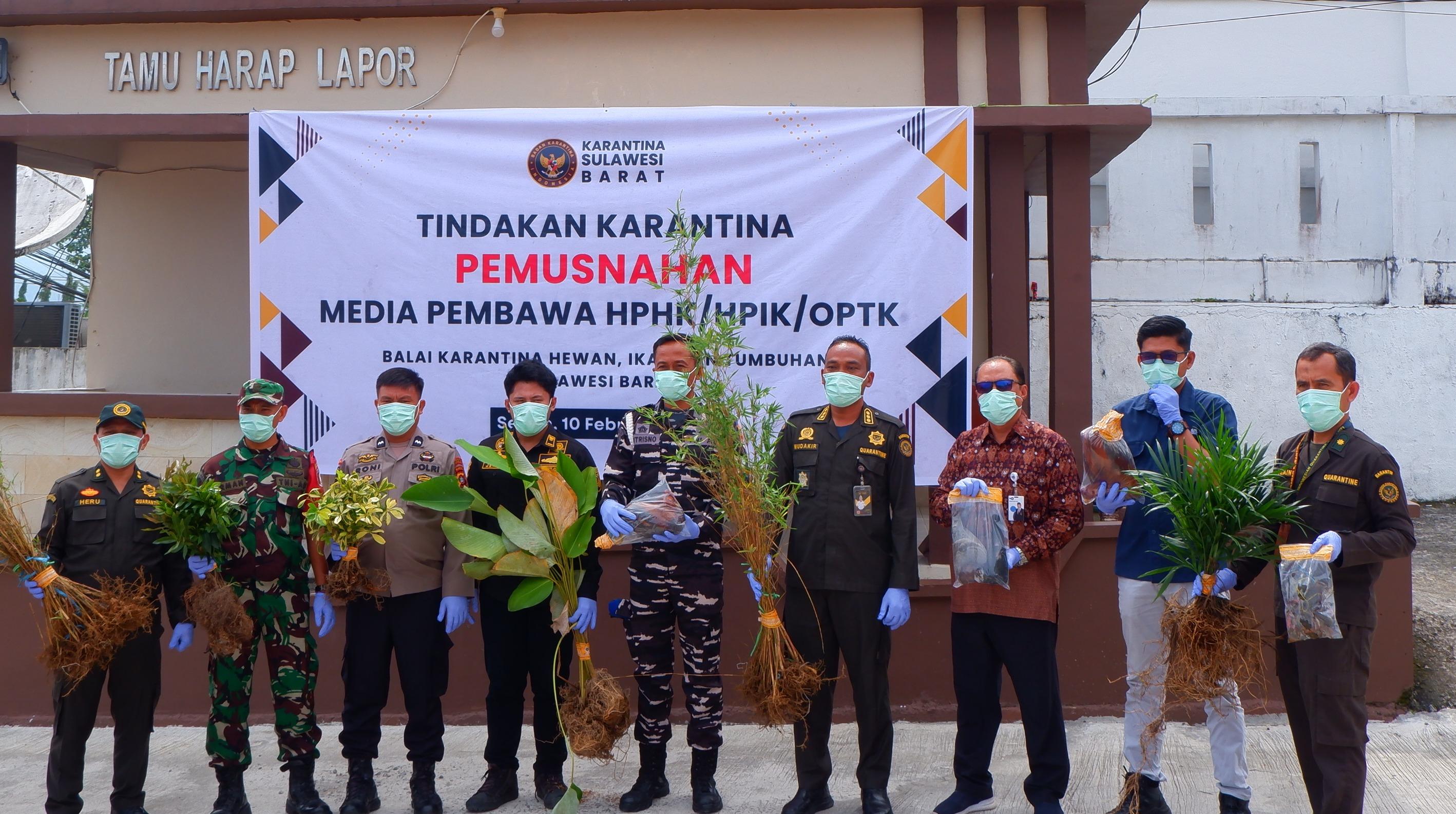 Cegah Penyebaran Hama Penyakit, Karantina Sulbar Musnahkan Seribu Lebih Komoditas Ilegal