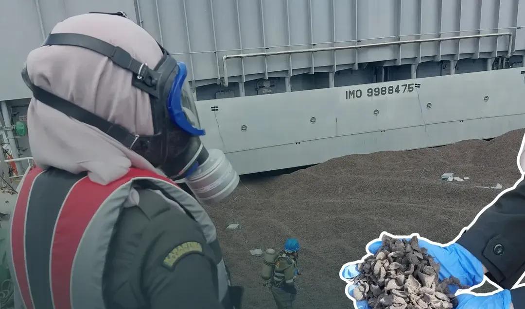 Ekspor cangkang sawit ke Jepang kembali diberangkatkan