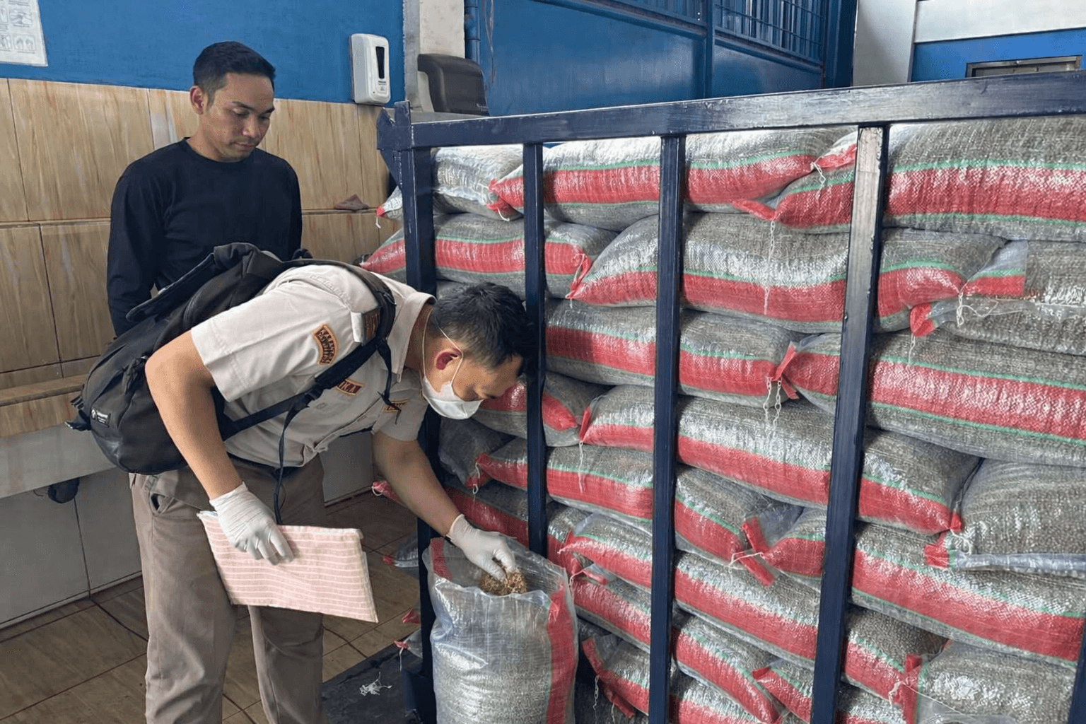 Aman Tanpa Hama, Kacang Hijau Indonesia Go International!