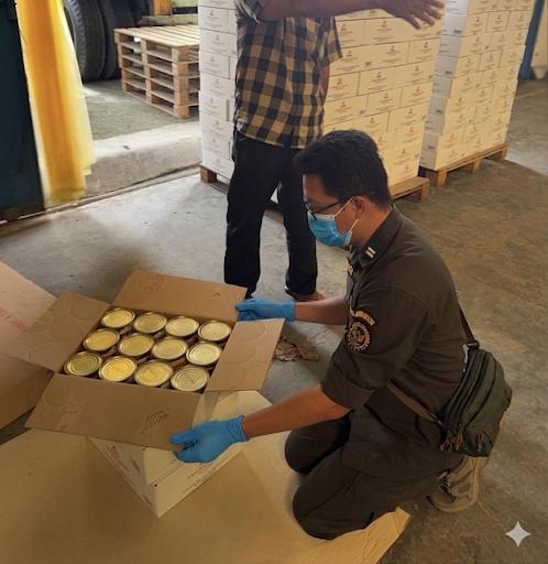 Dari Kebun ke Meja Mewah, Escargot Indonesia Siap Mendunia