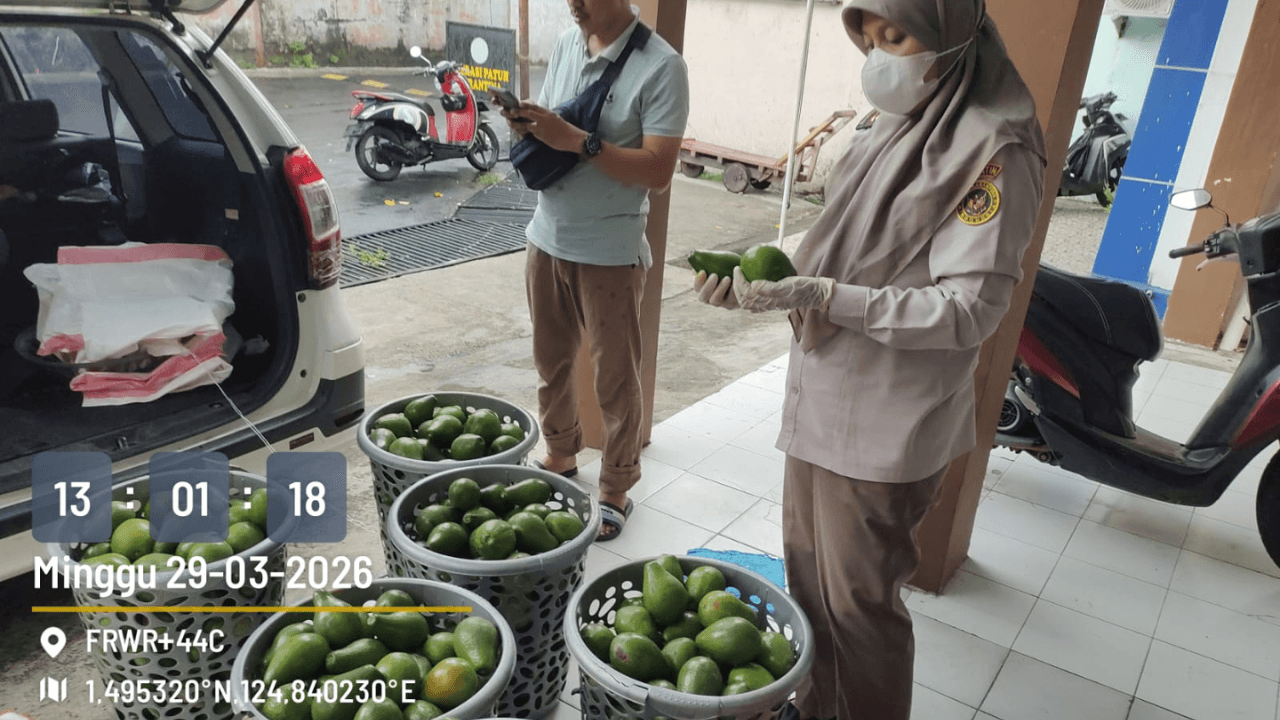 Jangan Oleh-olehmu jadi ancaman ini aturan penting yang harus sobatQ ikuti