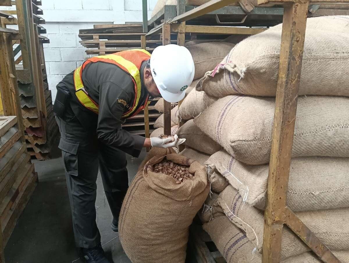 Dukung Ekonomi Nasional, Pinang Biji Asal Jakarta Berhasil Tembus Pasar Bangladesh