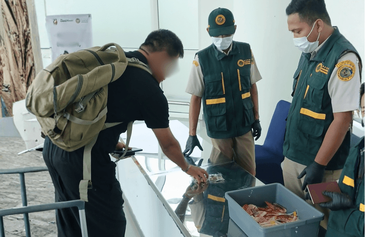 Pengawasan Produk Hewan dan Tumbuhan Asal Luar Negeri Terus Diperketat ...