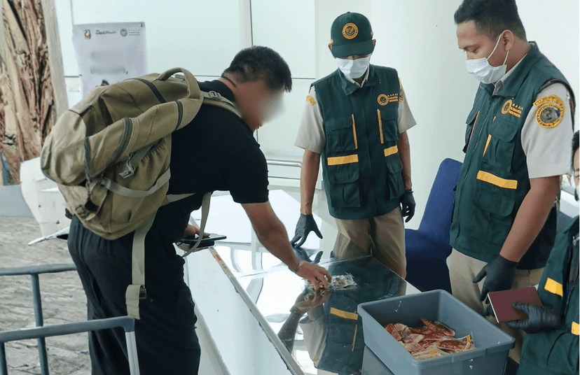 Pengawasan Produk Hewan dan Tumbuhan Asal Luar Negeri Terus …