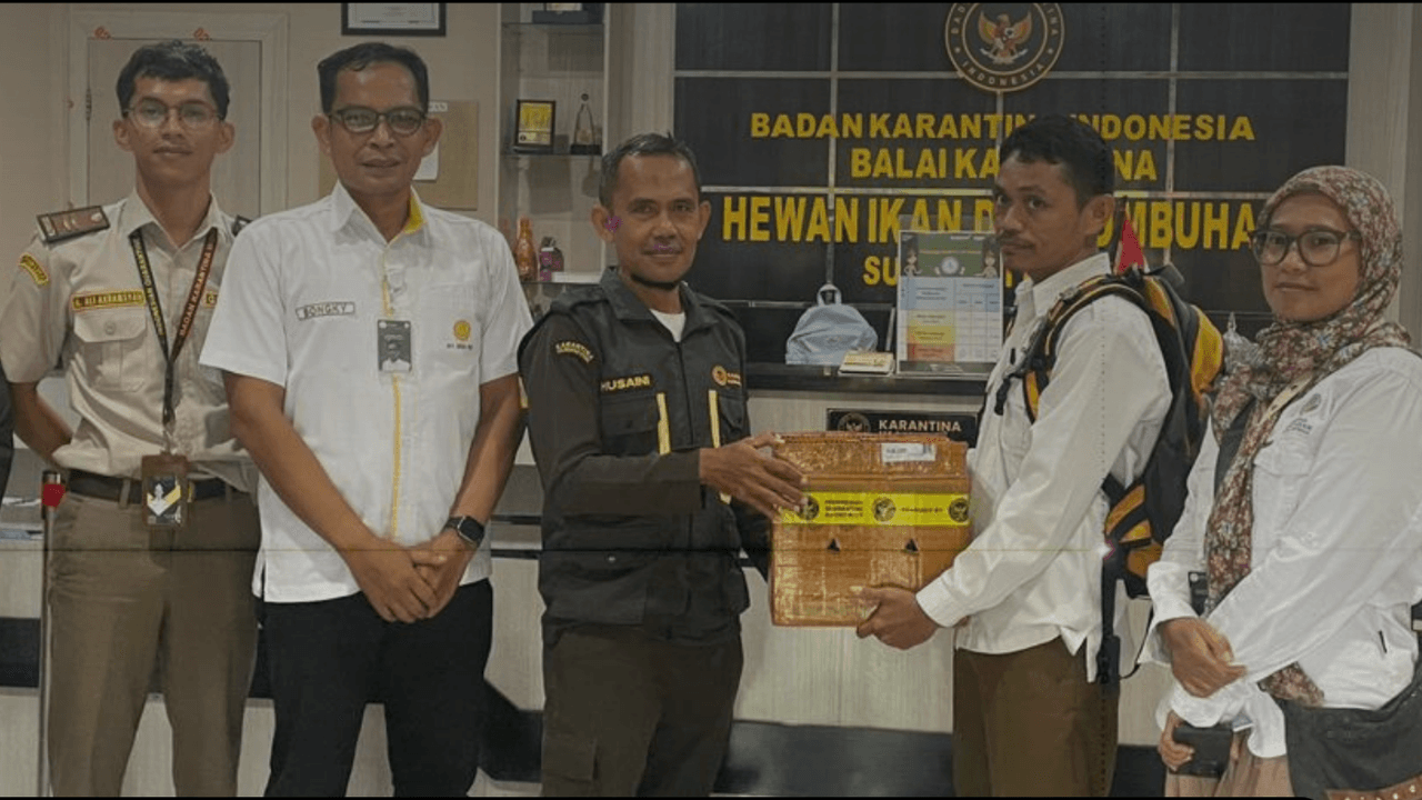 Lestarikan Genetik Sulbar, Karantina lepasliarkan Burung Endemik Sulawesi