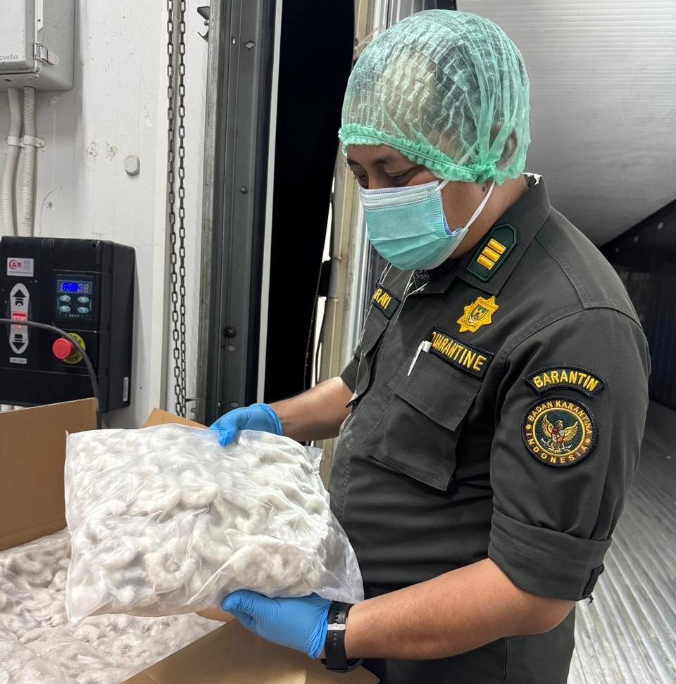 Kawal Ekspor Udang Beku Senilai Rp2,1 Miliar, Barantin Pastikan Produk Aman