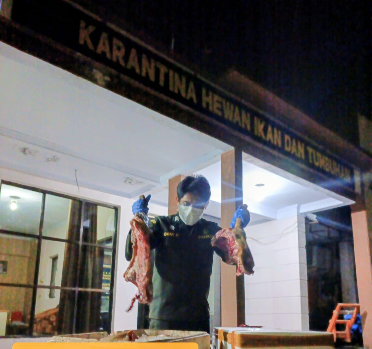 Karantina Sulawesi Utara Tahan Daging Anjing Ilegal   