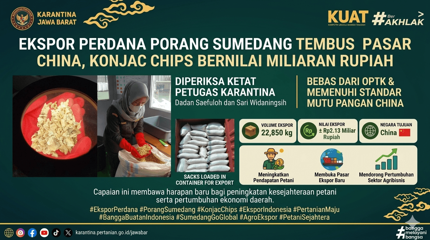 Ekspor Perdana Porang Asal Sumedang Tembus Pasar China, Konjac Chips Bernilai Miliaran Rupiah