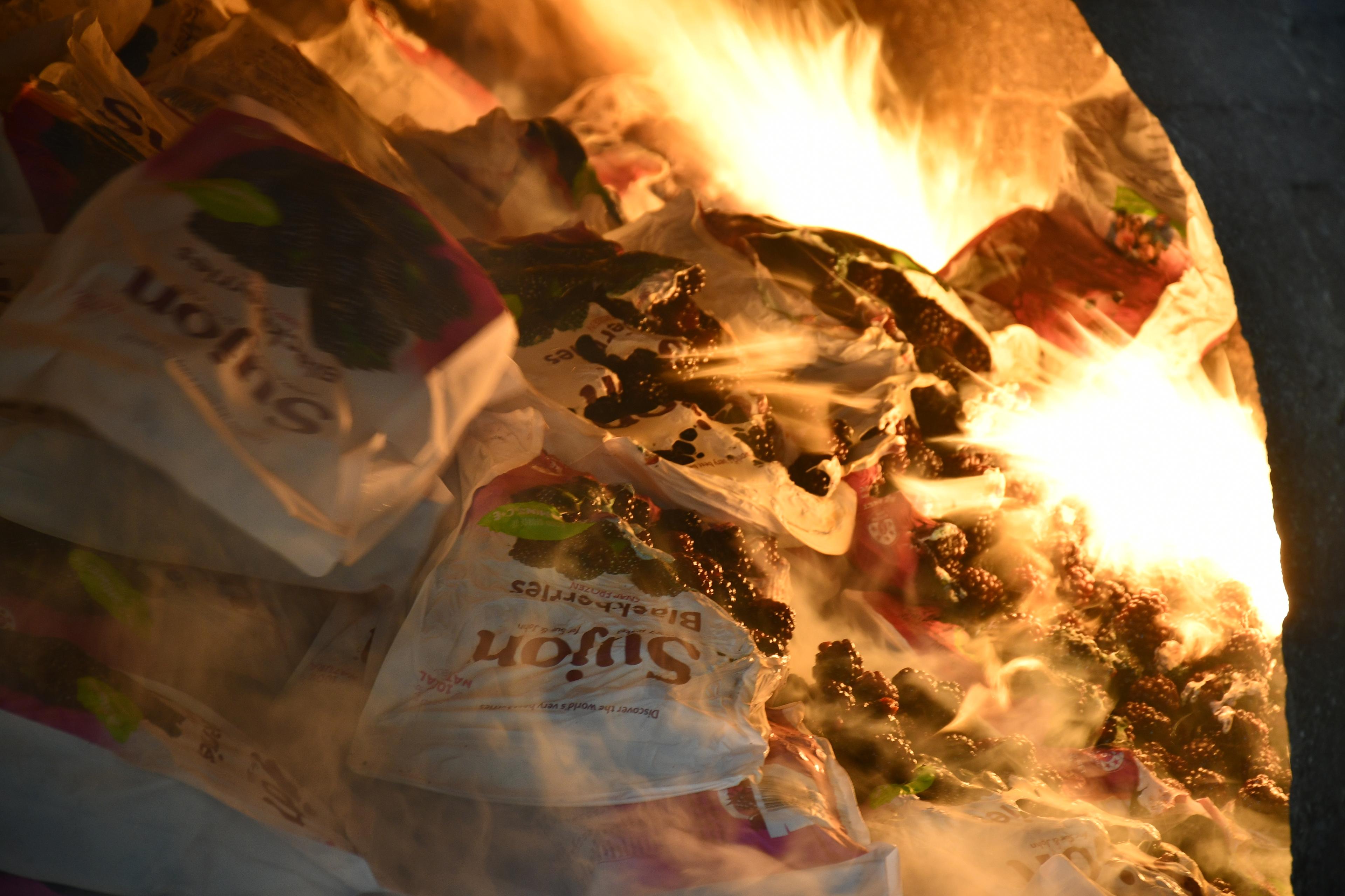 Impor Tidak Memenuhi Aturan Karantina, Blackberry Beku Asal Selandia Baru Berakhir di Insinerator