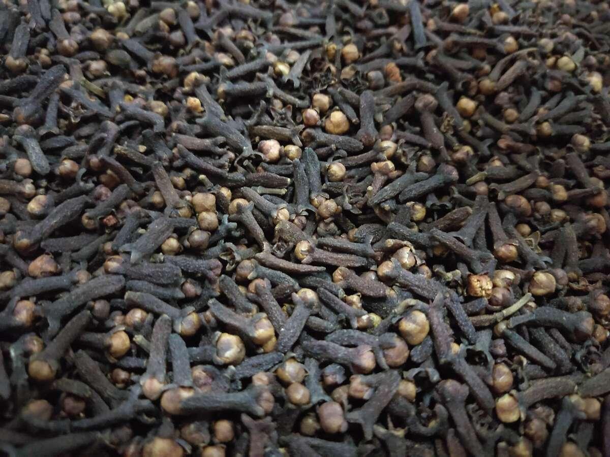 Cengkeh Indonesia Tembus Liberia, Aroma Rempah Nusantara Bawa Devisa Rp1,36 Miliar