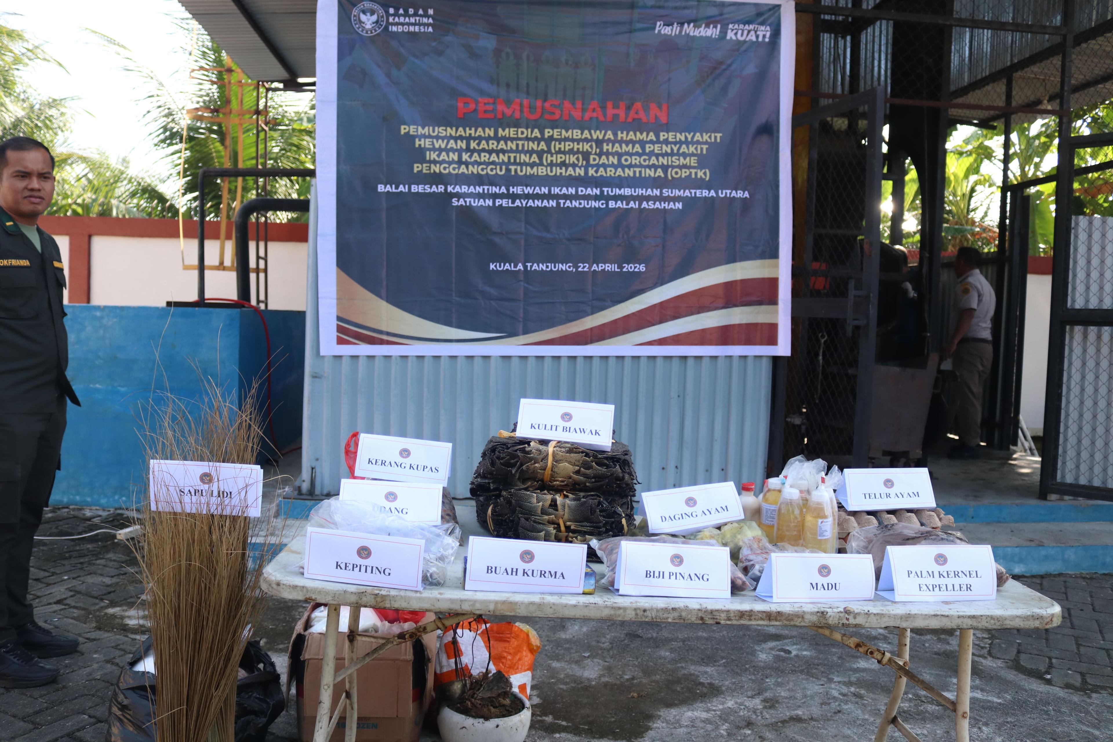 Jaga Kedaulatan Hayati, Karantina Sumut Musnahkan Ribuan Kulit Biawak dan Komoditas Ilegal Lainnya