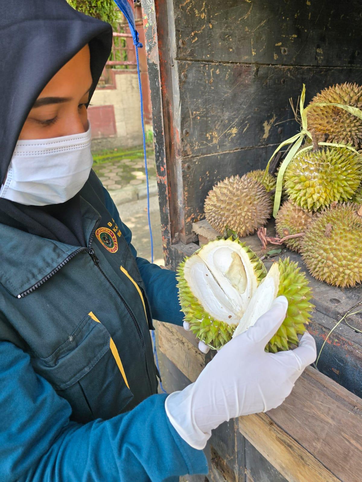 Pengiriman Durian dari Ambon Diawasi Ketat Karantina Maluku