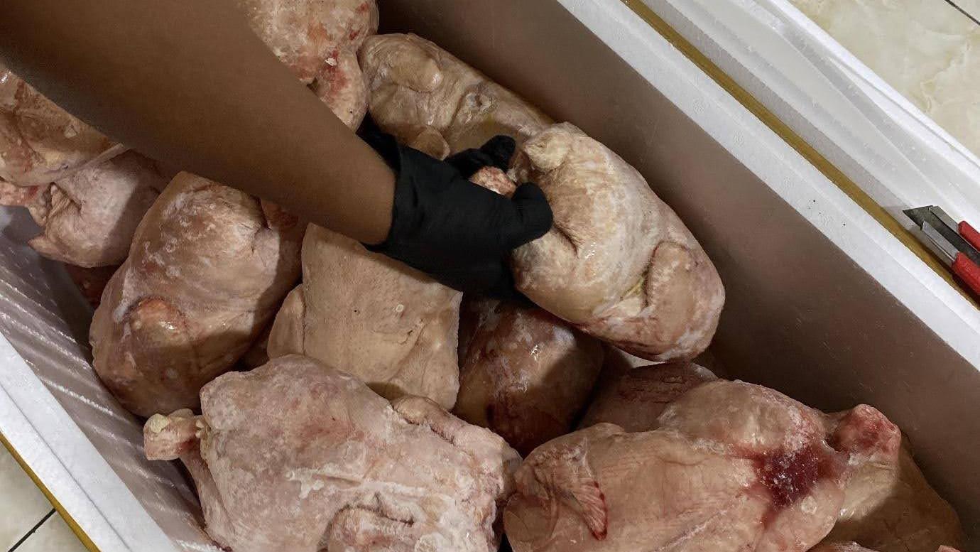 Jaga Keamanan Pangan, 350 Kg Daging Ayam Ilegal Dilarang Kirim ke Ternate