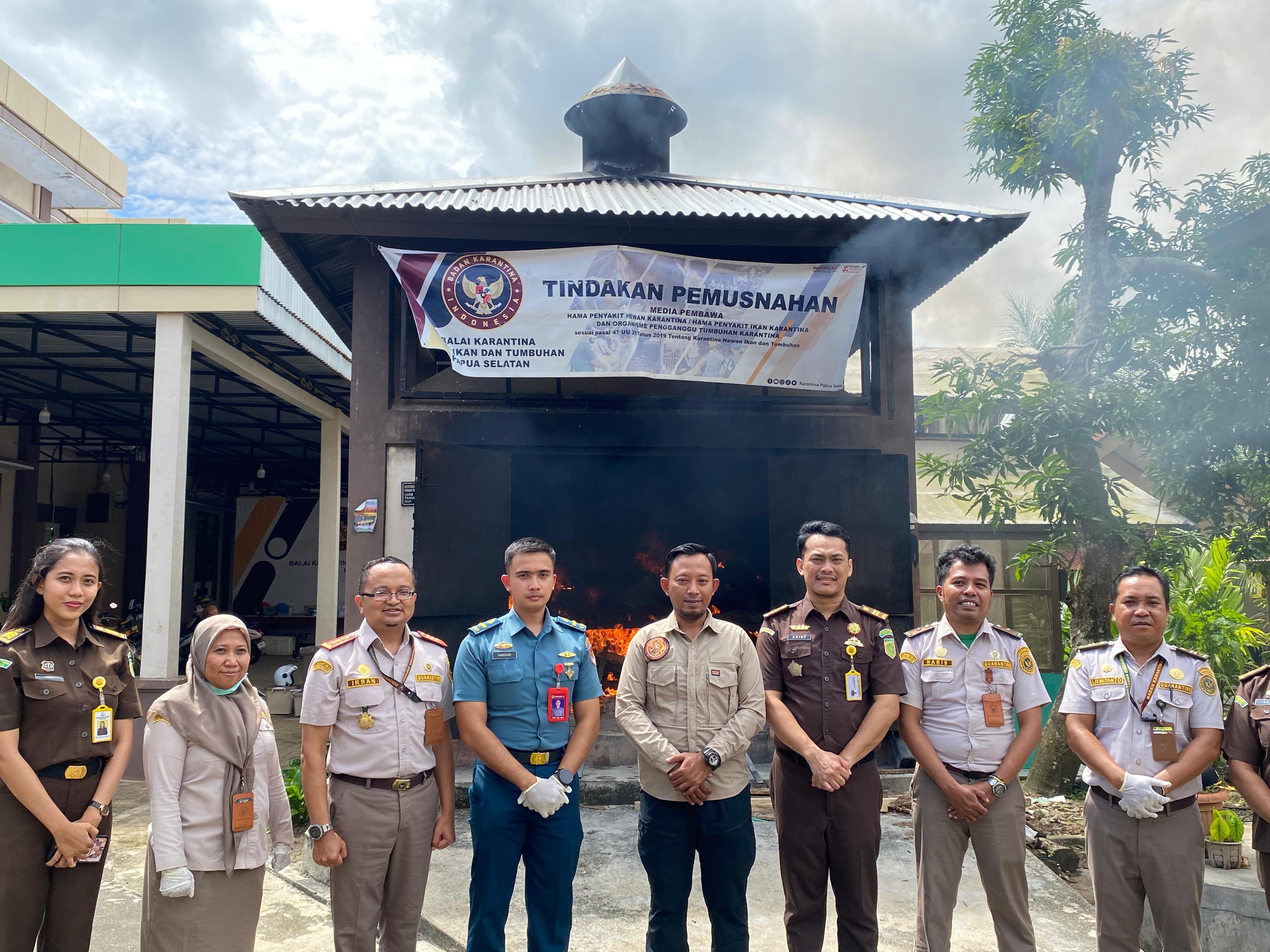 PERKUAT SINERGI ANTARLEMBAGA, KARANTINA PAPUA SELATAN MUSNAHKAN RATUSAN KILOGRAM TERIPANG ILEGAL