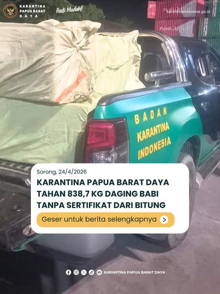 Karantina Papua Barat Daya Tahan 838,7 KG Daging Babi Tanpa Sertifikat Dari Bitung