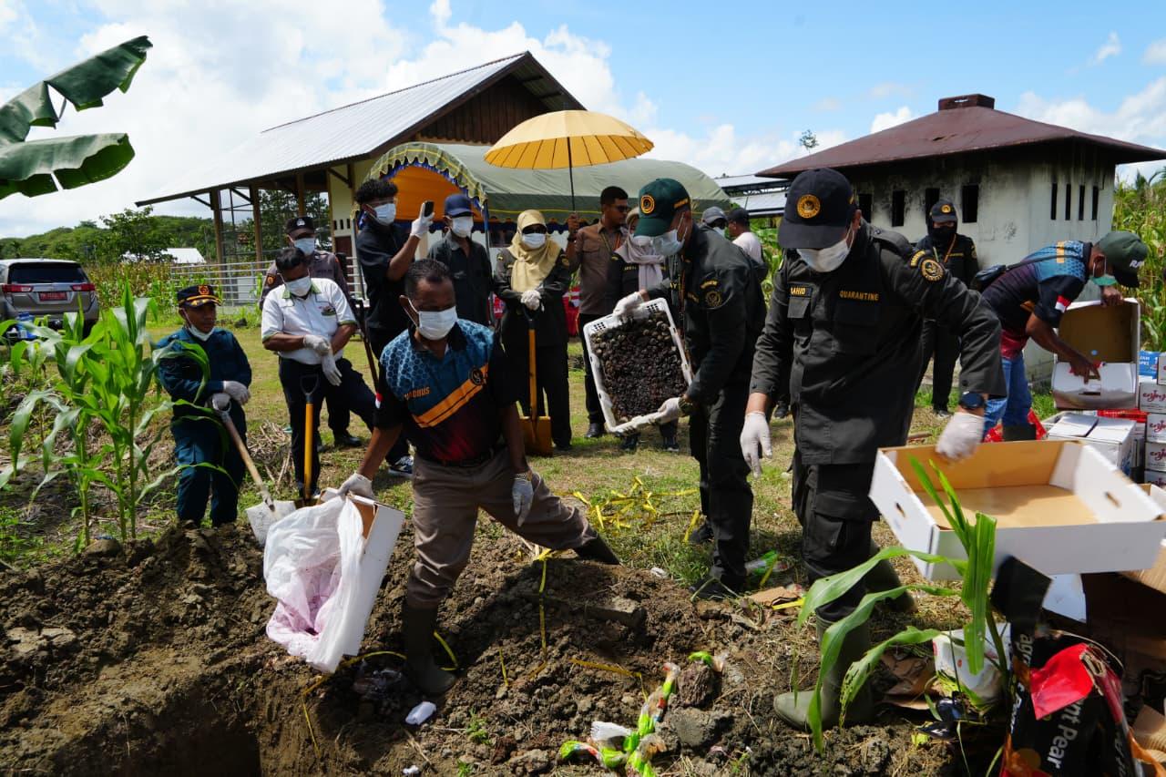Komitmen Jamin Keamanan Pangan, Karantina Papua Musnahkan 4,19 Ton Komoditas Tidak Layak Konsumsi