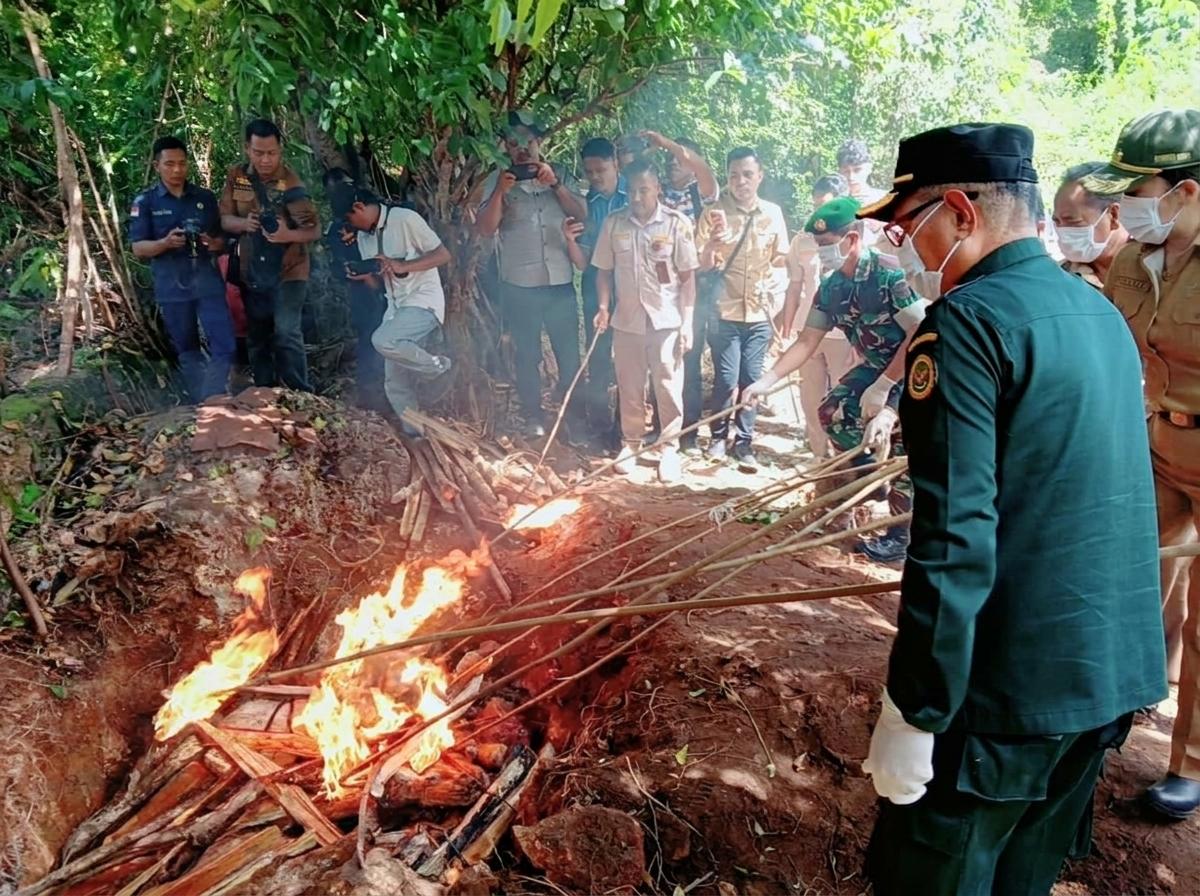Karantina NTT dan Pemda Perkuat Sinergi Cegah Penyelundupan Ternak serta Penyakit Hewan di Sumba Barat Daya