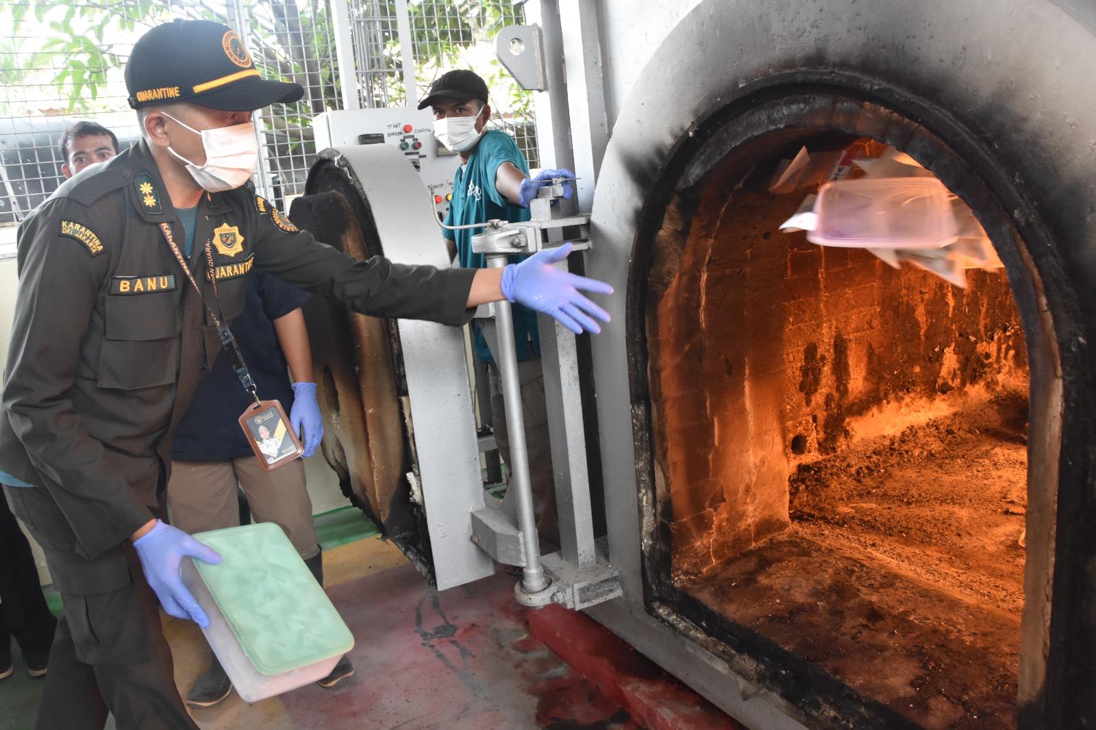 Pemusnahan Media Pembawa, Karantina Banten Tegaskan Komitmen Jaga Negeri