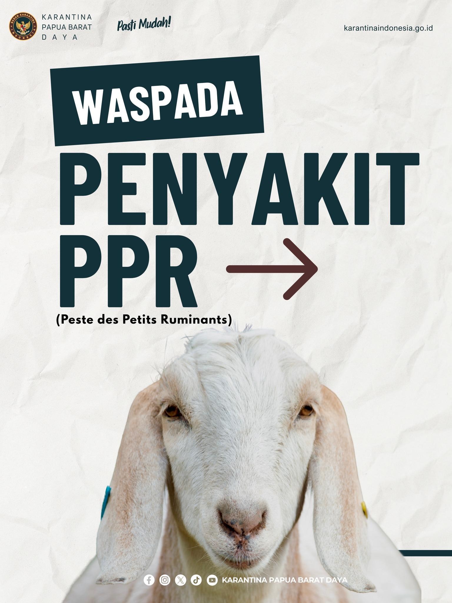 Waspada penyait PPR!🚨