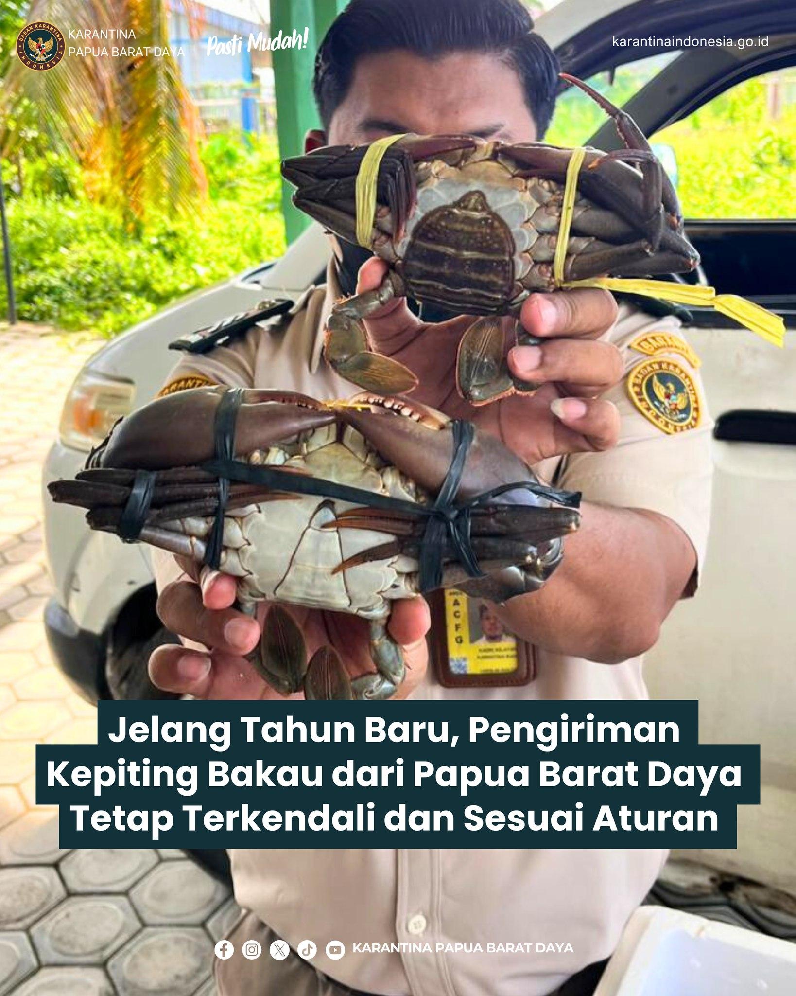PENGIRIMAN KEPITING BAKAU DARI PAPUA BARAT DAYA TETAP TERKENDALI DAN SESUAI ATURAN