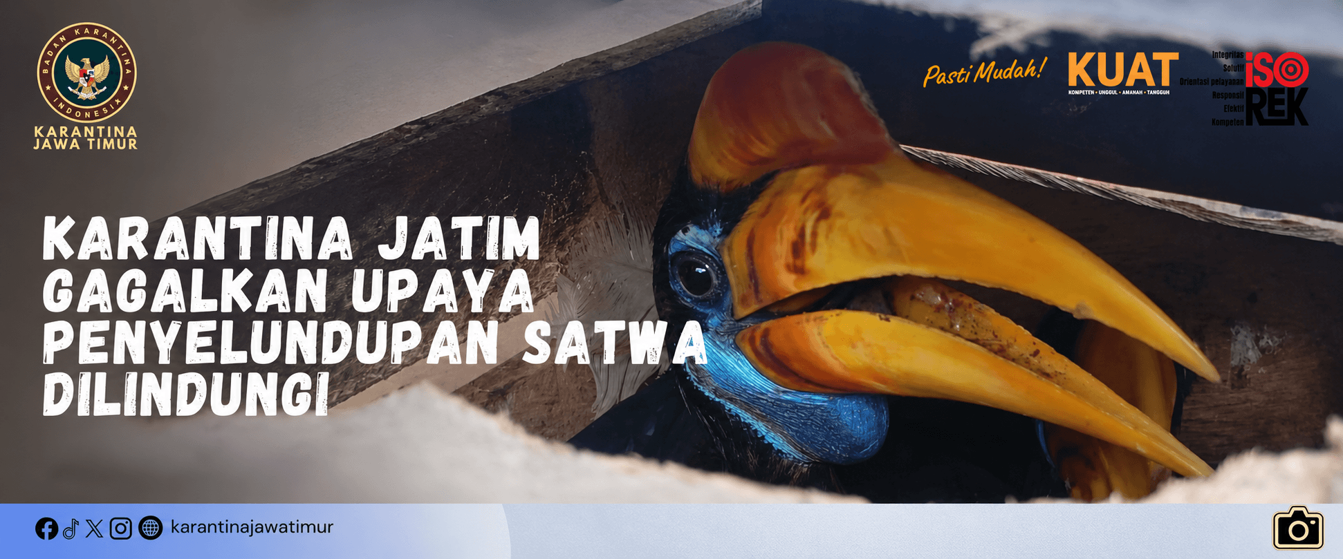 Karantina Jatim Gagalkan Upaya Penyelundupan Satwa Dilindungi
