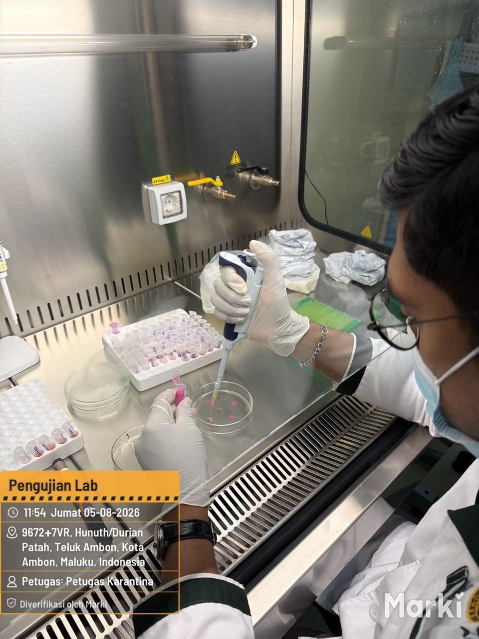 Pengawasan Brucellosis: Pengujian 210 Sampel Serum Sapi dari Kobisadar