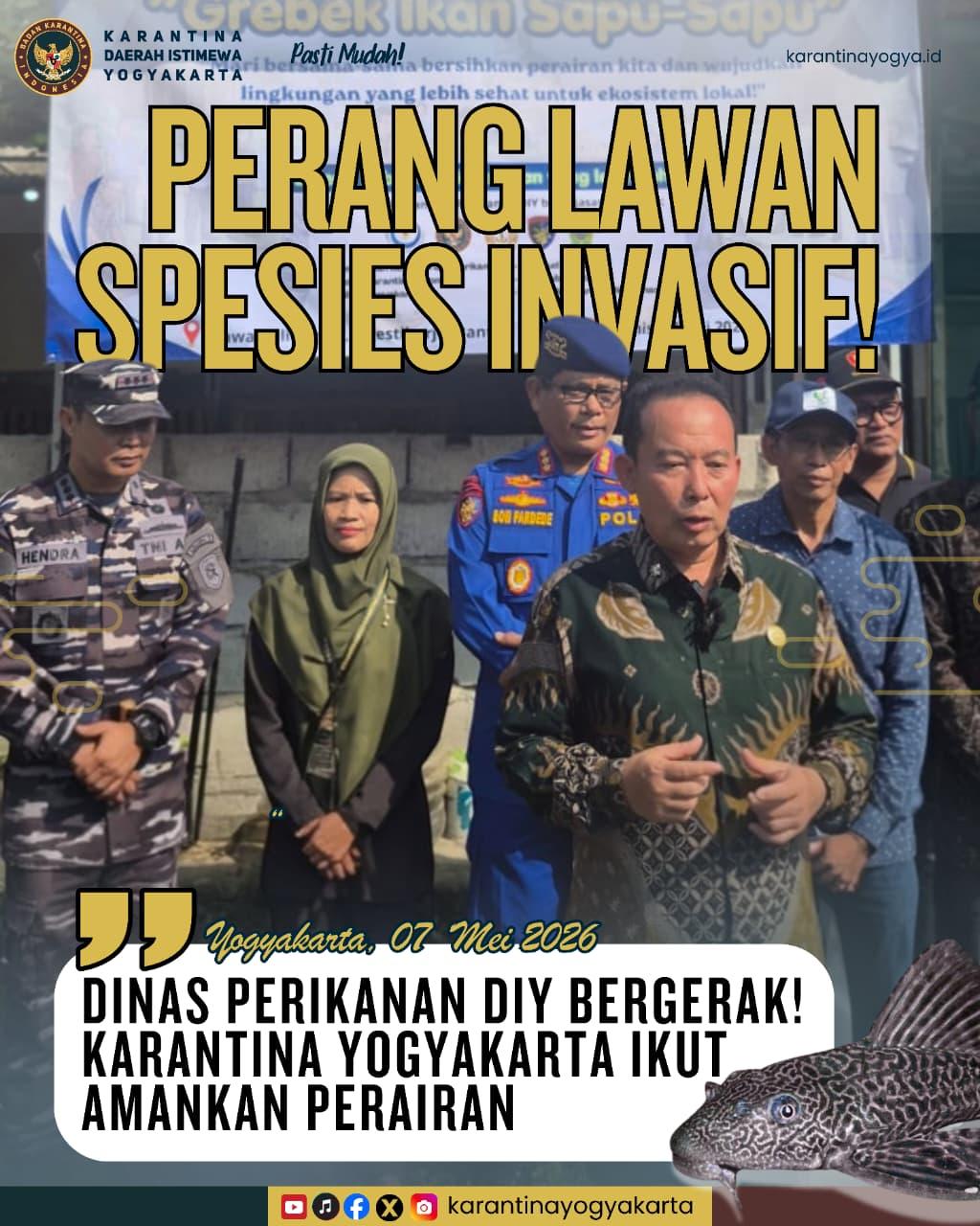 Aksi Nyata Jaga Perairan, Karantina Yogyakarta Dukung Grebek Ikan Sapu-Sapu di Kalibayem