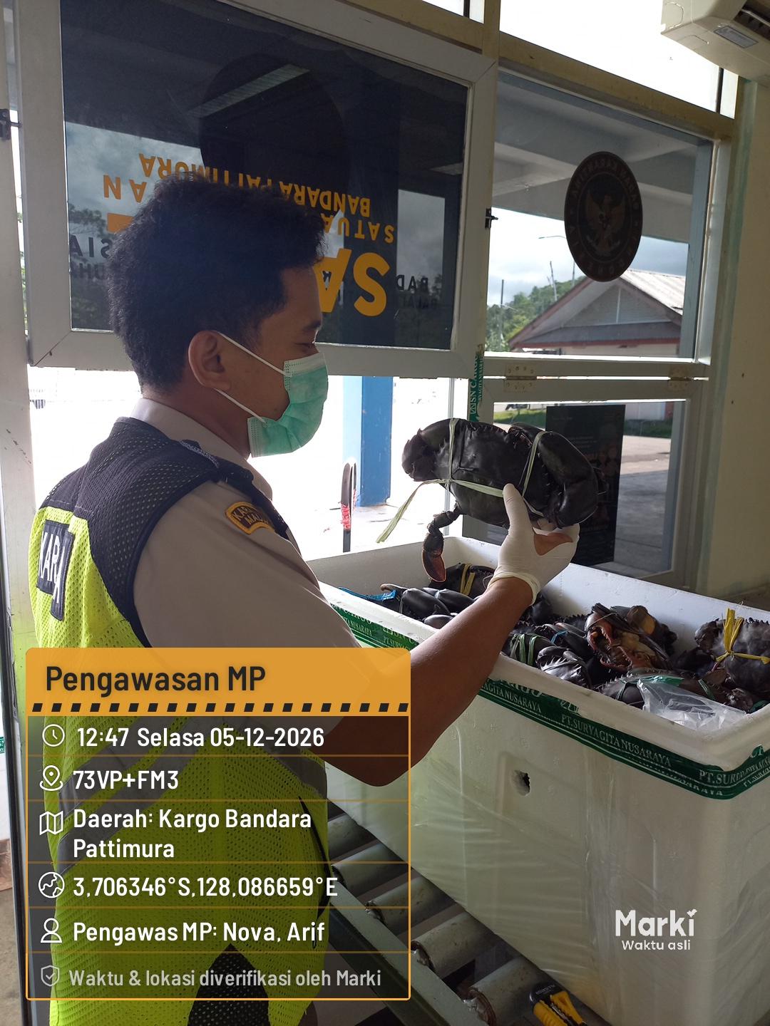 Karantina Maluku Awasi Pengiriman 540 Ekor Kepiting Bakau Tujuan Jakarta di Bandara Pattimura