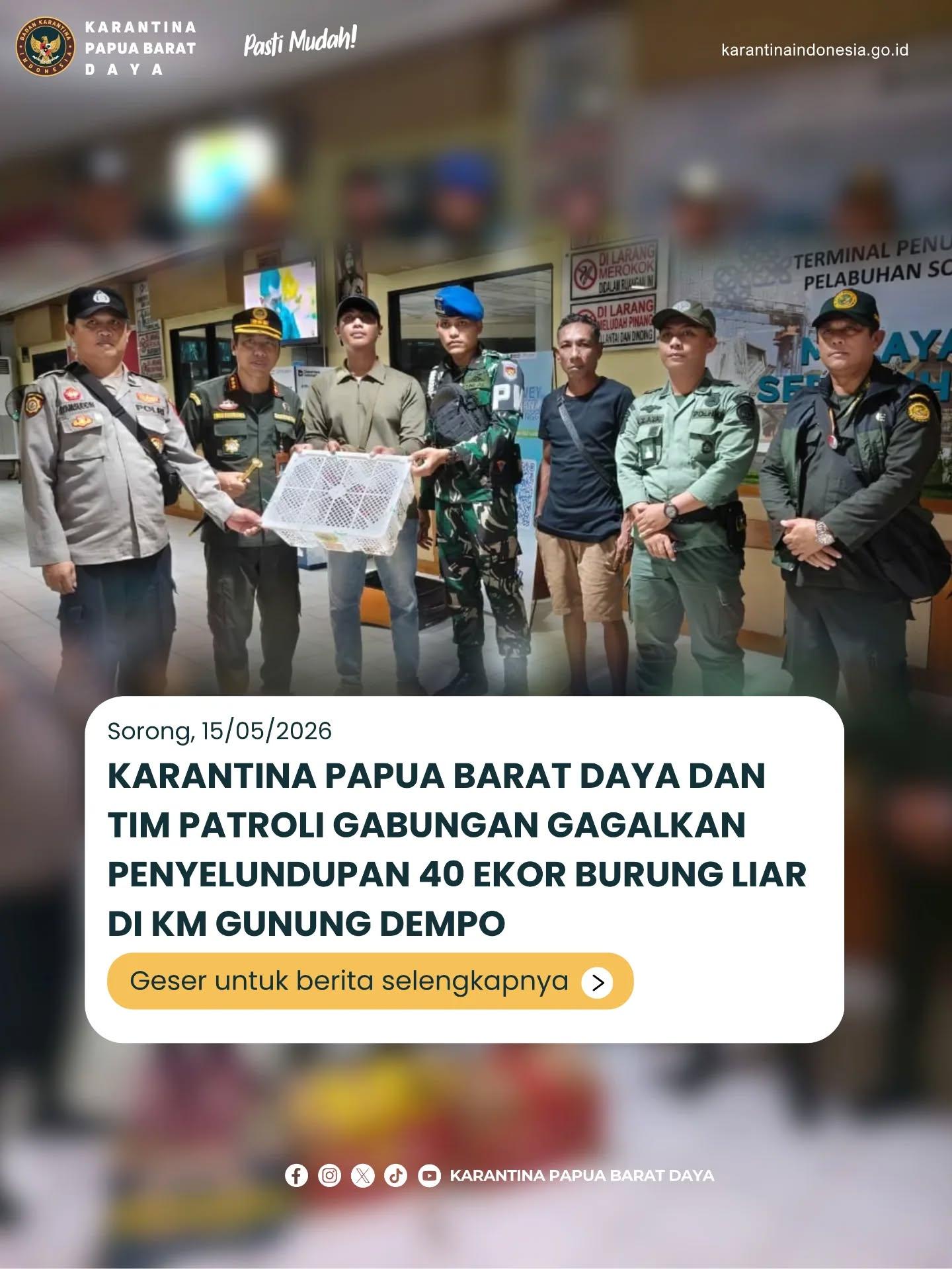 KARANTINA PAPUA BARAT DAYA DAN TIM PATROLI GABUNGAN GAGALKAN PENYELUNDUPAN 40 EKOR BURUNG LIAR DI KM GUNUNG DEMPO