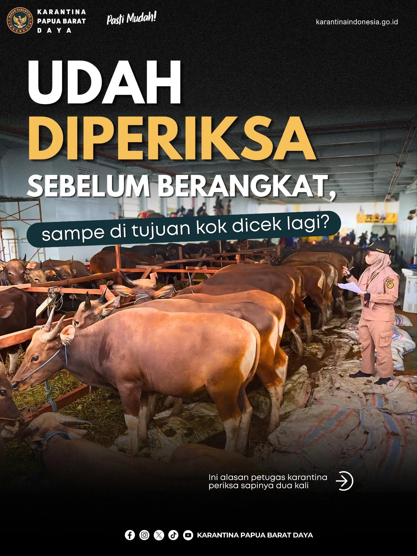 UDAH DIPERIKSA SEBELUM BERANGKAT, SAMPE DI TUJUAN KOK DICEK LAGI