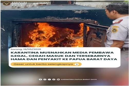 KARANTINA MUSNAHKAN MEDIA PEMBAWA ILEGAL, CEGAH MASUK DAN TERSEBARNYA HAMA DAN PENYAKIT KE PAPUA BARAT DAYA