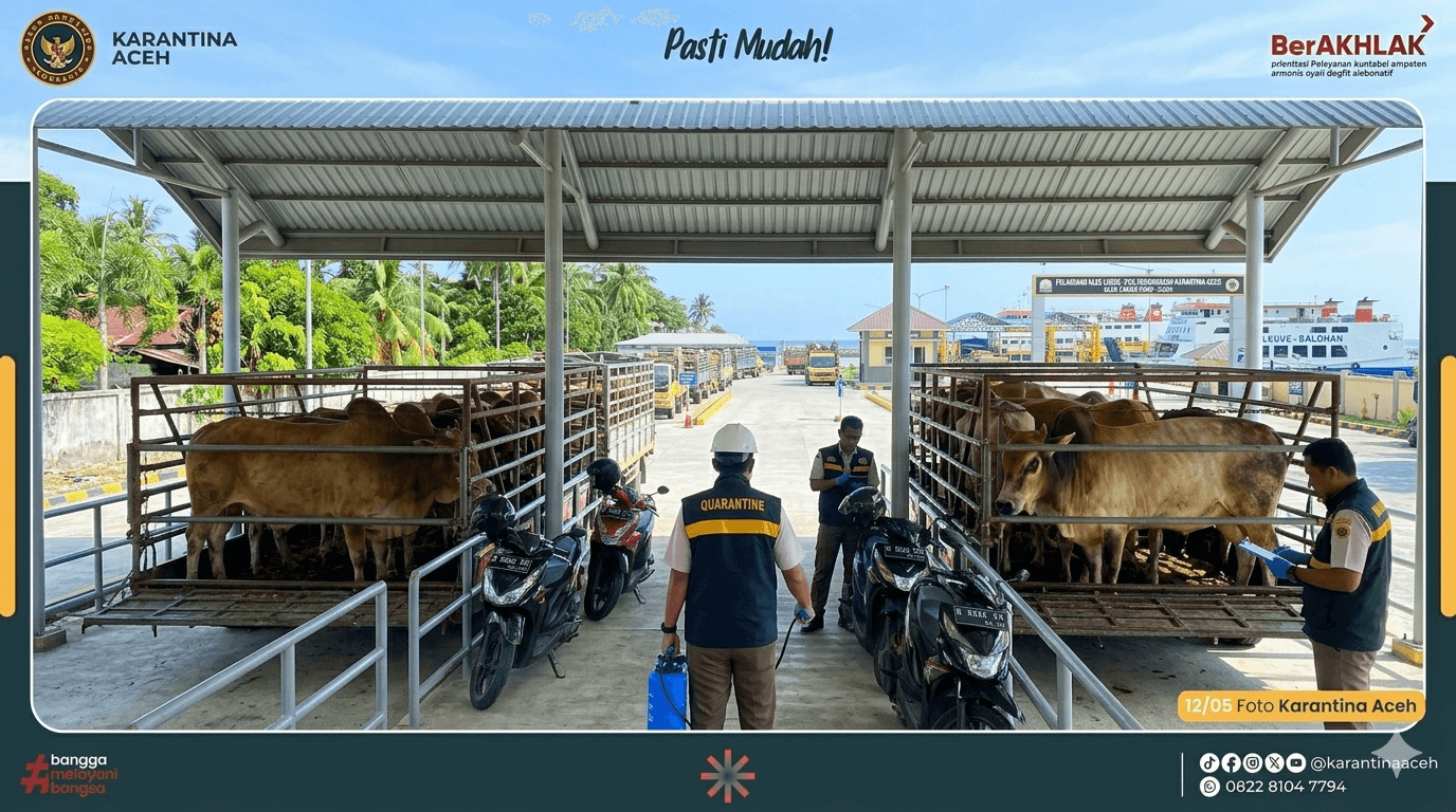 Karantina Aceh Perketat Pengawasan Lalu Lintas Sapi Kurban Jelang Idul Adha 2026