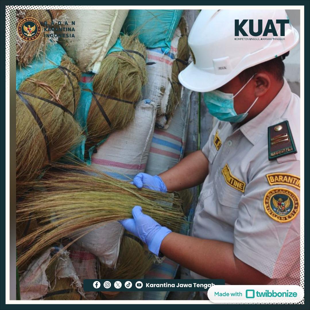 Sapu Rayung Kreasi Rumput Gelagah Diminati Pasar Vietnam