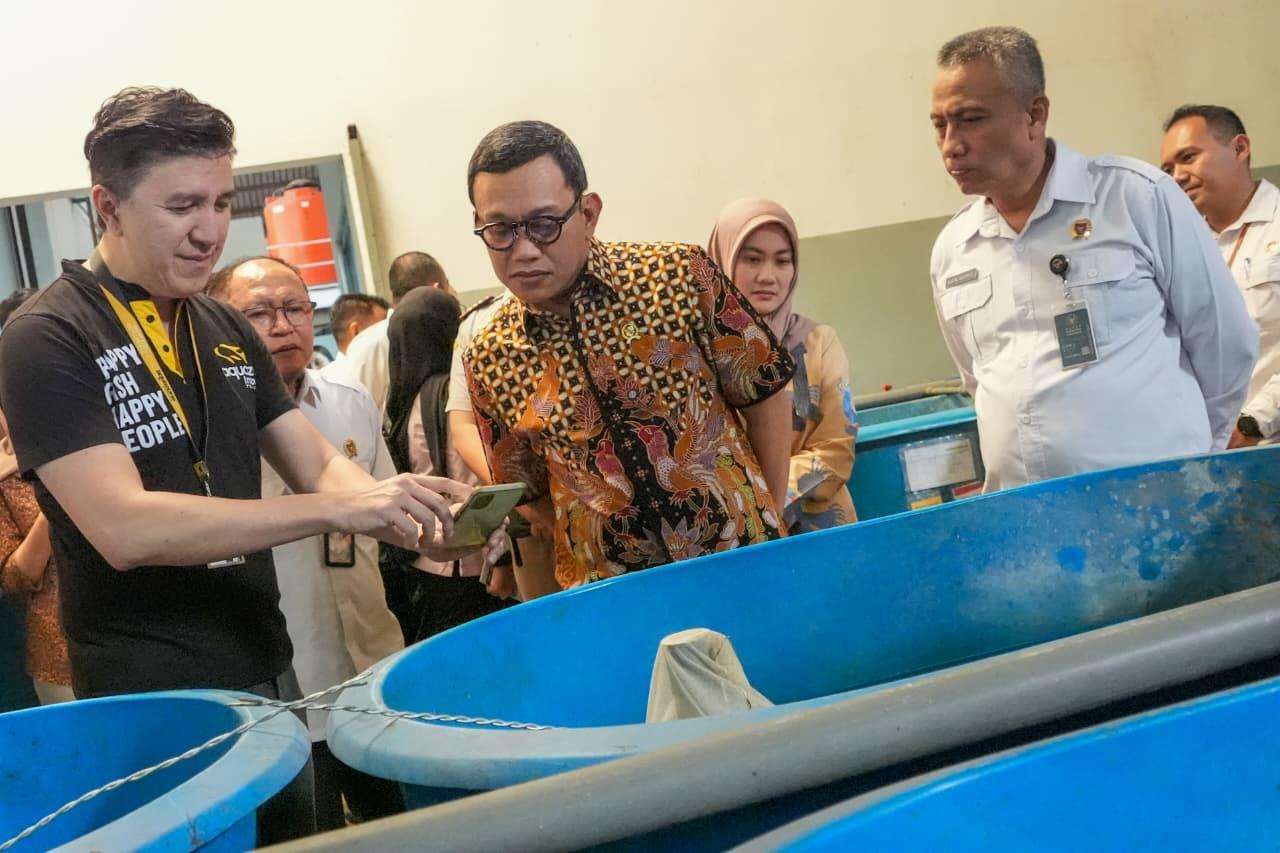 Barantin Siap Dorong Ekspor Ikan Hias Indonesia Tembus Pasar Global