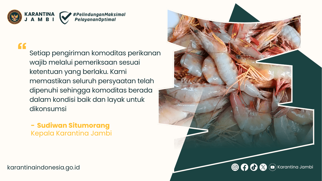 Karantina Jambi Pastikan 200 Kg Udang Layak Konsumsi