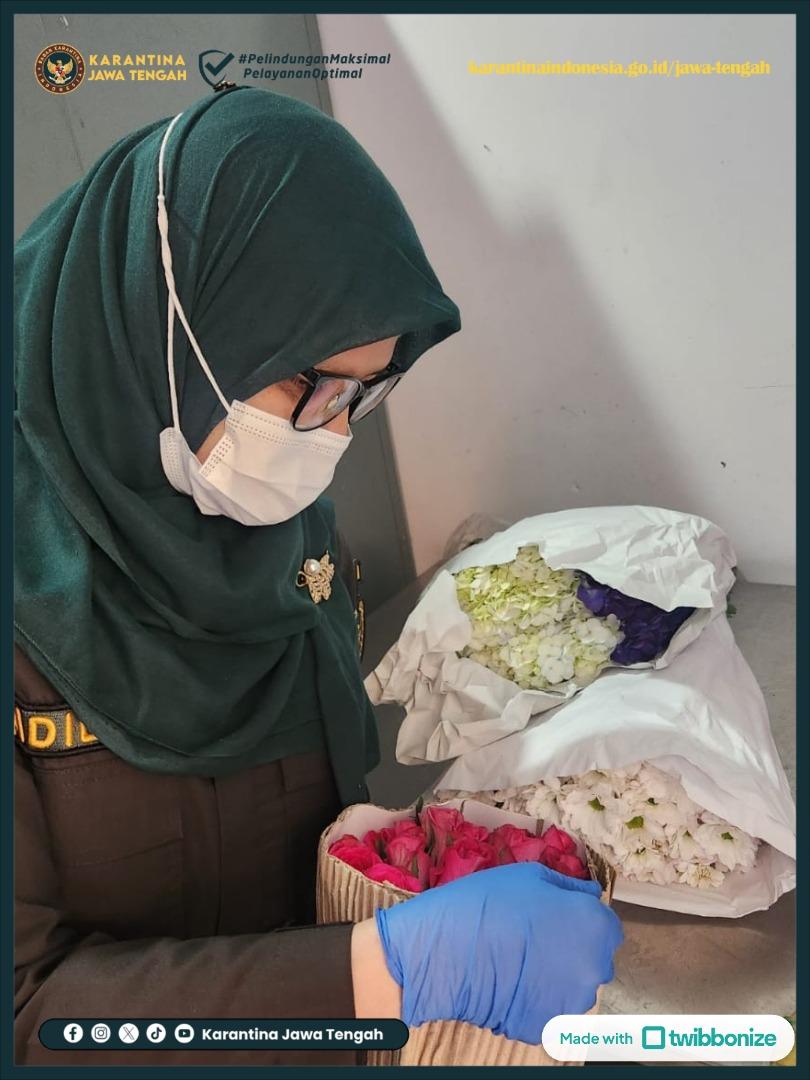 Penuhi Pasar Florikultura, Ratusan Bunga Potong Bebas Kutu Kebul Tiba di Banjarmasin