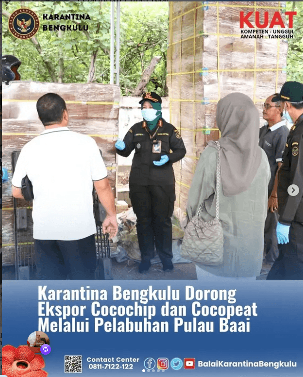 Karantina Bengkulu Dorong Ekspor Cocochip dan Cocopeat Melalui Pelabuhan Pulau Baai