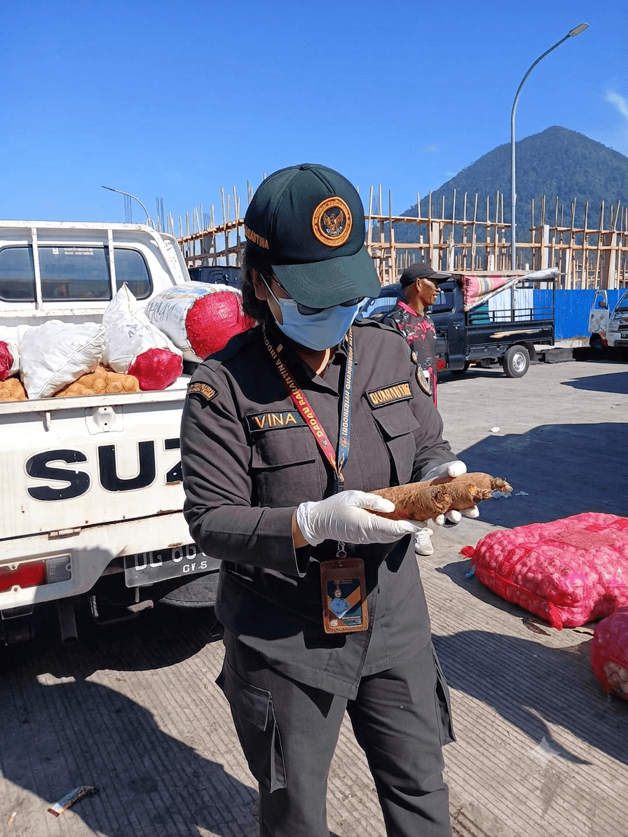 Melalui Pengawasan Rutin, Karantina Jaga Keamanan Komoditas di Pelabuhan Laut Jailolo