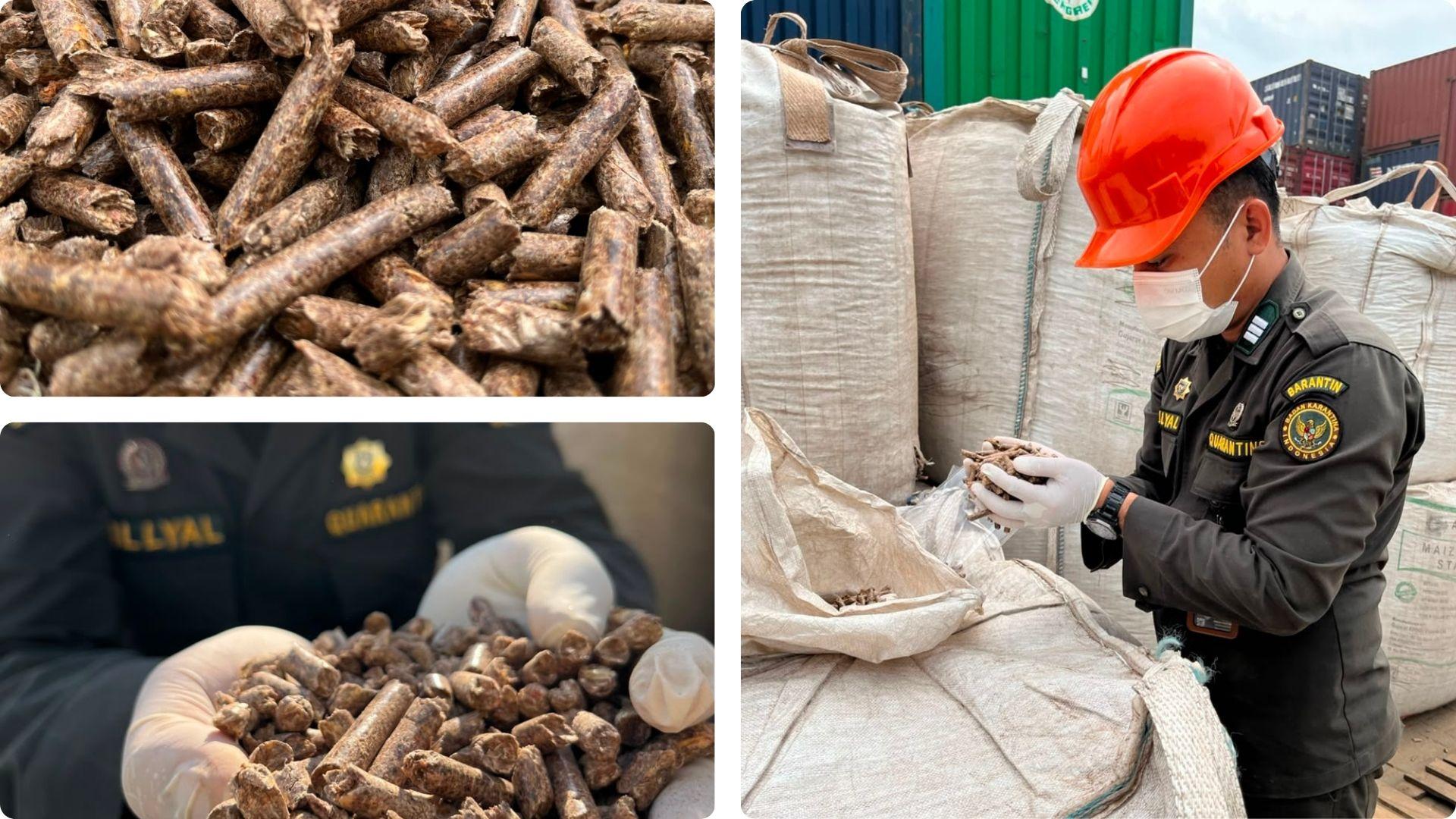 Karantina Jambi Kawal Ekspor 488 Ton Wood Pellet