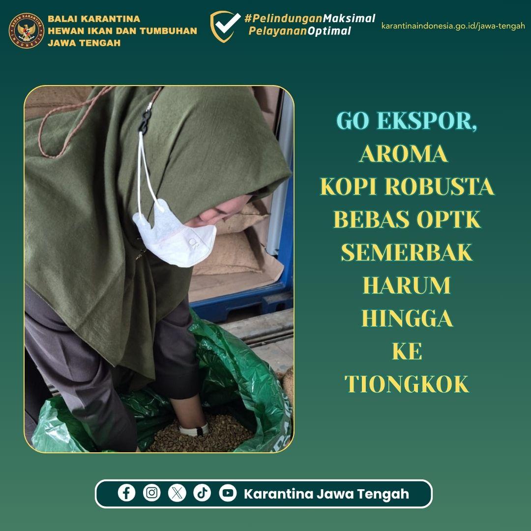 Go Ekspor, Aroma Kopi Robusta Bebas OPTK Semerbak Hingga Tiongkok