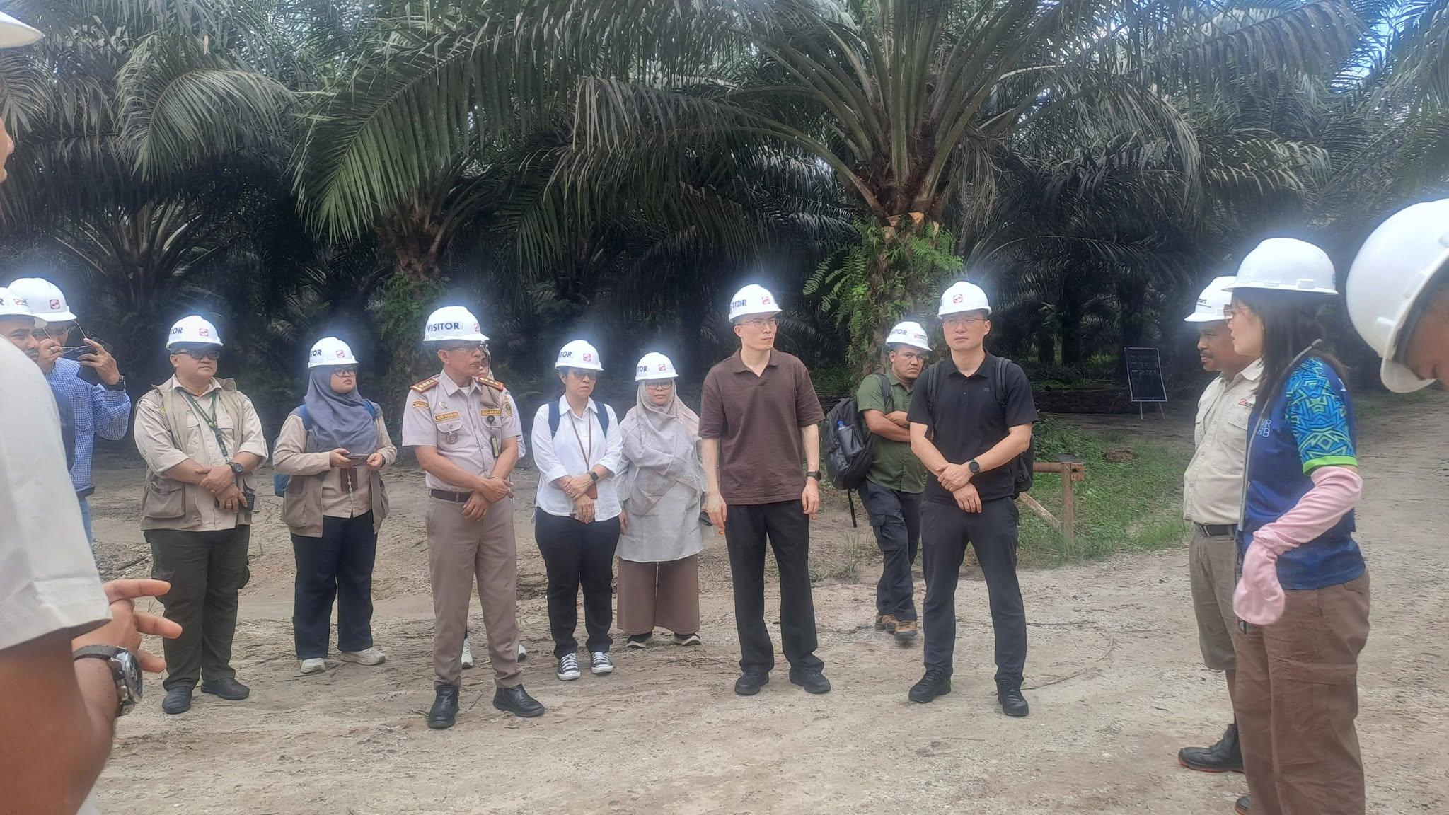 Karantina Riau Dampingi Audit GACC di Perkebunan Kelapa Sawit, Pastikan Standar Keamanan Pangan dan GAP Terpenuhi