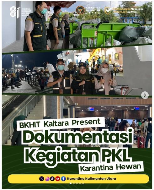 Kegiatan PKL Karantina Hewan BKHIT Kalimantan Utara