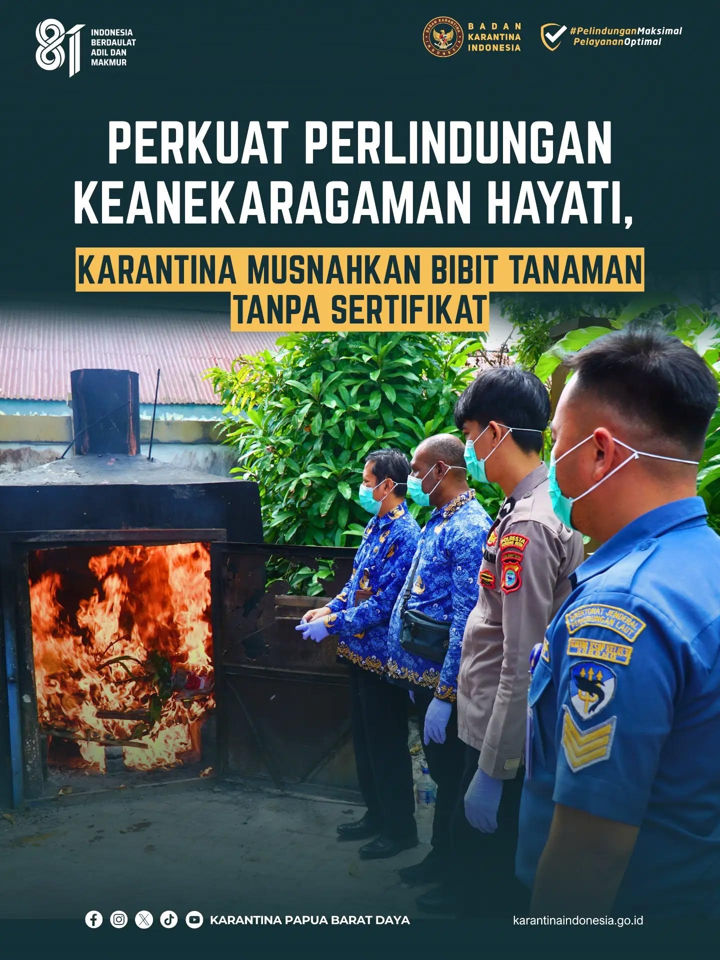 PERKUAT PERLINDUNGAN KEANEKARAGAMAN HAYATI, KARANTINA MUSNAHKAN BIBIT TANAMAN TANPA SERTIFIKAT